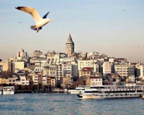 MERKEZ ADRES